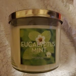 Bath & Body Works Eucalyptus Mint candle